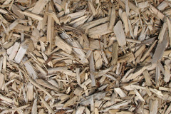 biomass boilers Morfa
